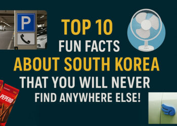 Top 10 Fun Facts About South Korea That You Will NEVER Find Anywhere Else!