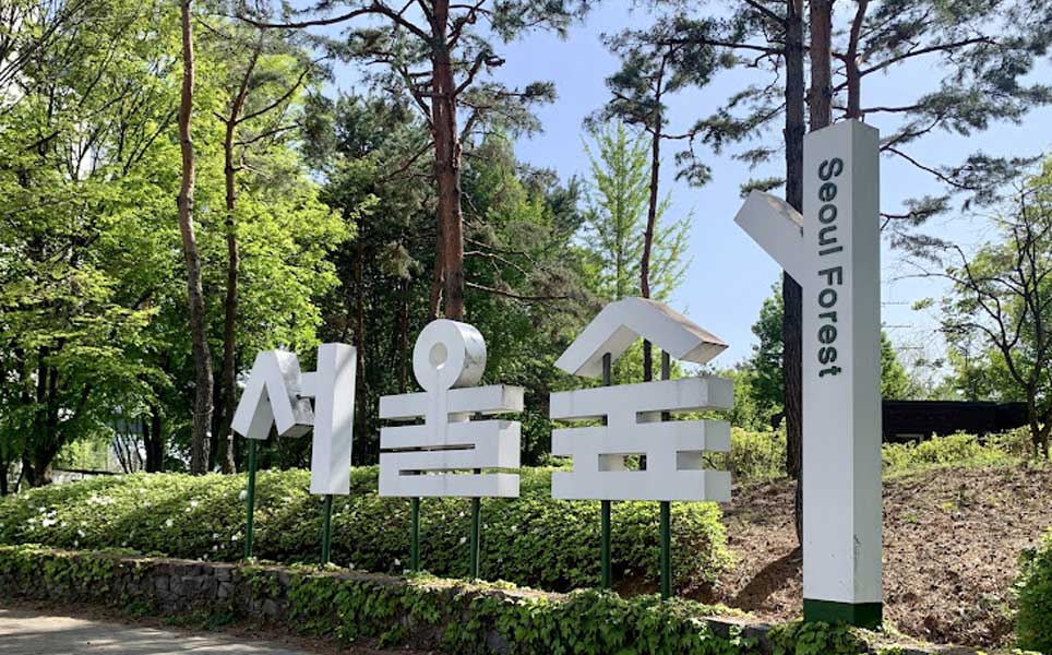 seoul forest park guide tips healing activities