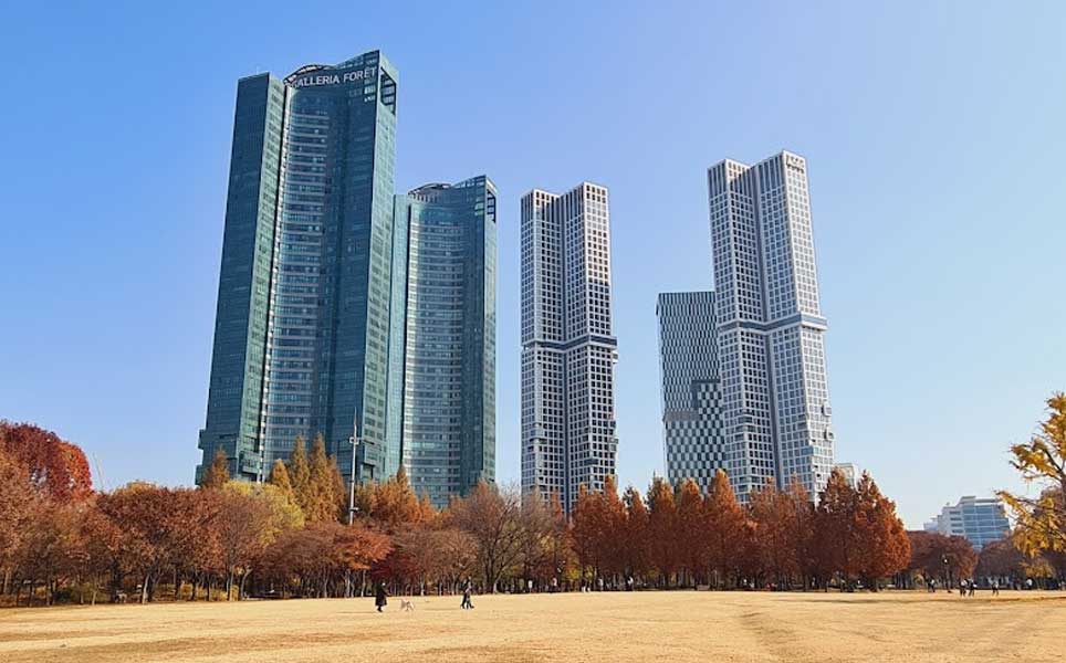 park and city contrast