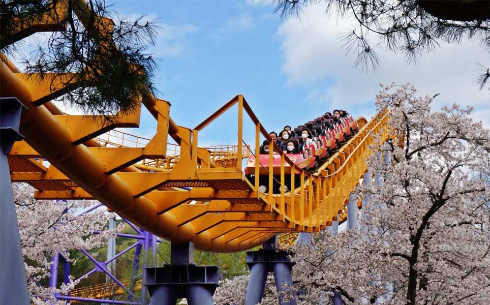 seoul grand park guide zoo tickets how to get there