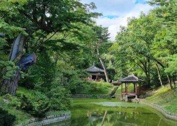 The Secret Side of Seoul: Top 10 Tourist Attractions You’ll Wish You Knew Sooner