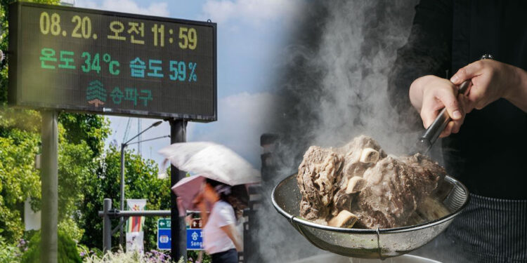 Why Korean Sweats to Stay Cool: The Soul and Science Behind the Steaming Healthy Summer Foods