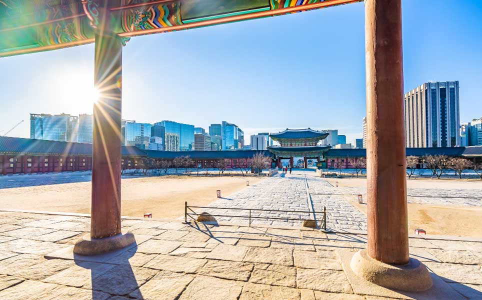 What to do when your travel plans go wrong korea last minute survival guide