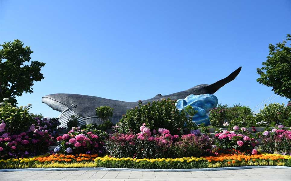 hydrangea-in-summer-south-korea-where-to-visit