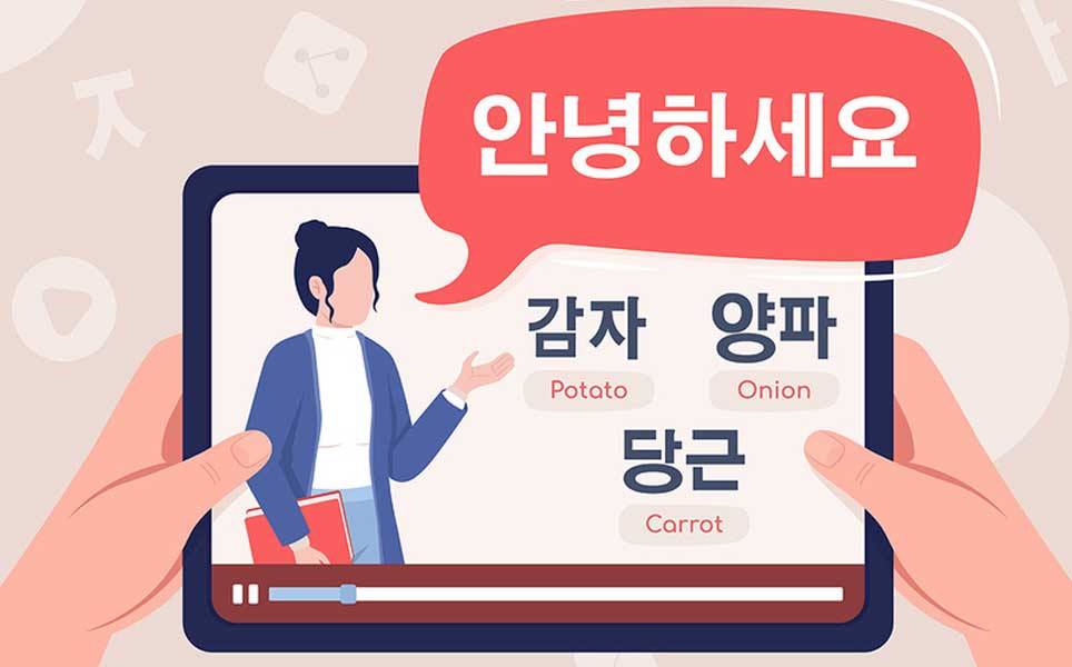 understanding what languages spoken in south korea travel guide