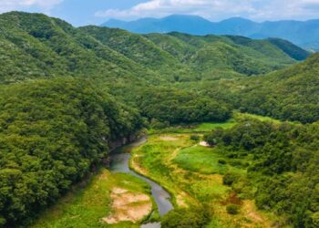 Bangudae Stream Petroglyphs ulsan rock carvings unesco world heritage