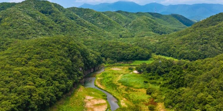 Bangudae Stream Petroglyphs ulsan rock carvings unesco world heritage