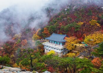 fall foliage korea 2025