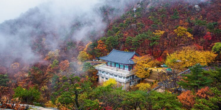 fall foliage korea 2025