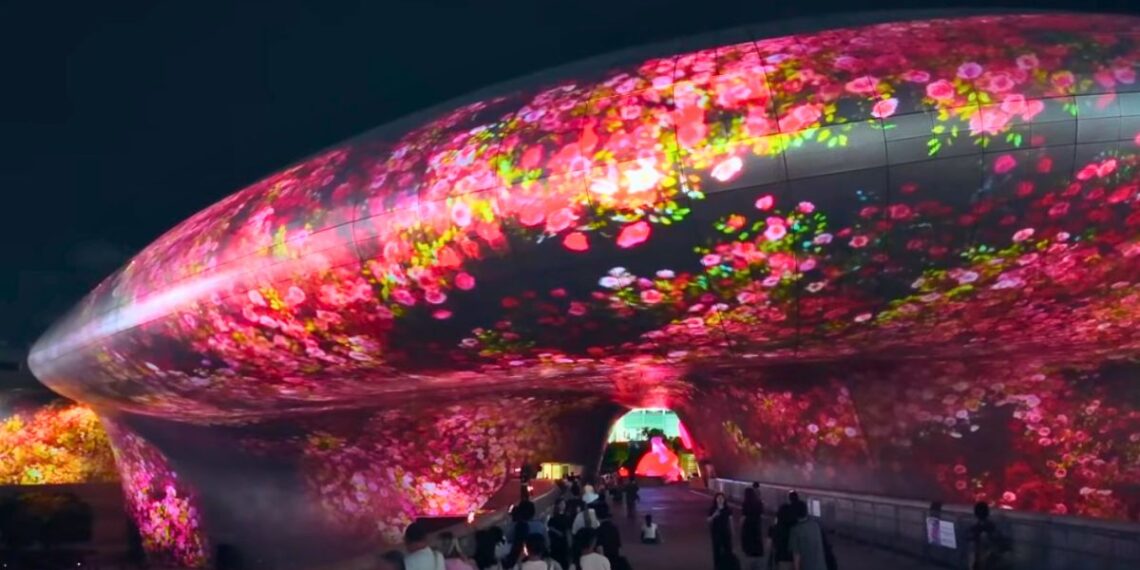 Ultimate Guide to Summer Festivals in Korea