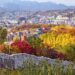 autumn foliage trails Seoul Maple trees and ginkgo leaves along Stone Wall in Seoul during autumn